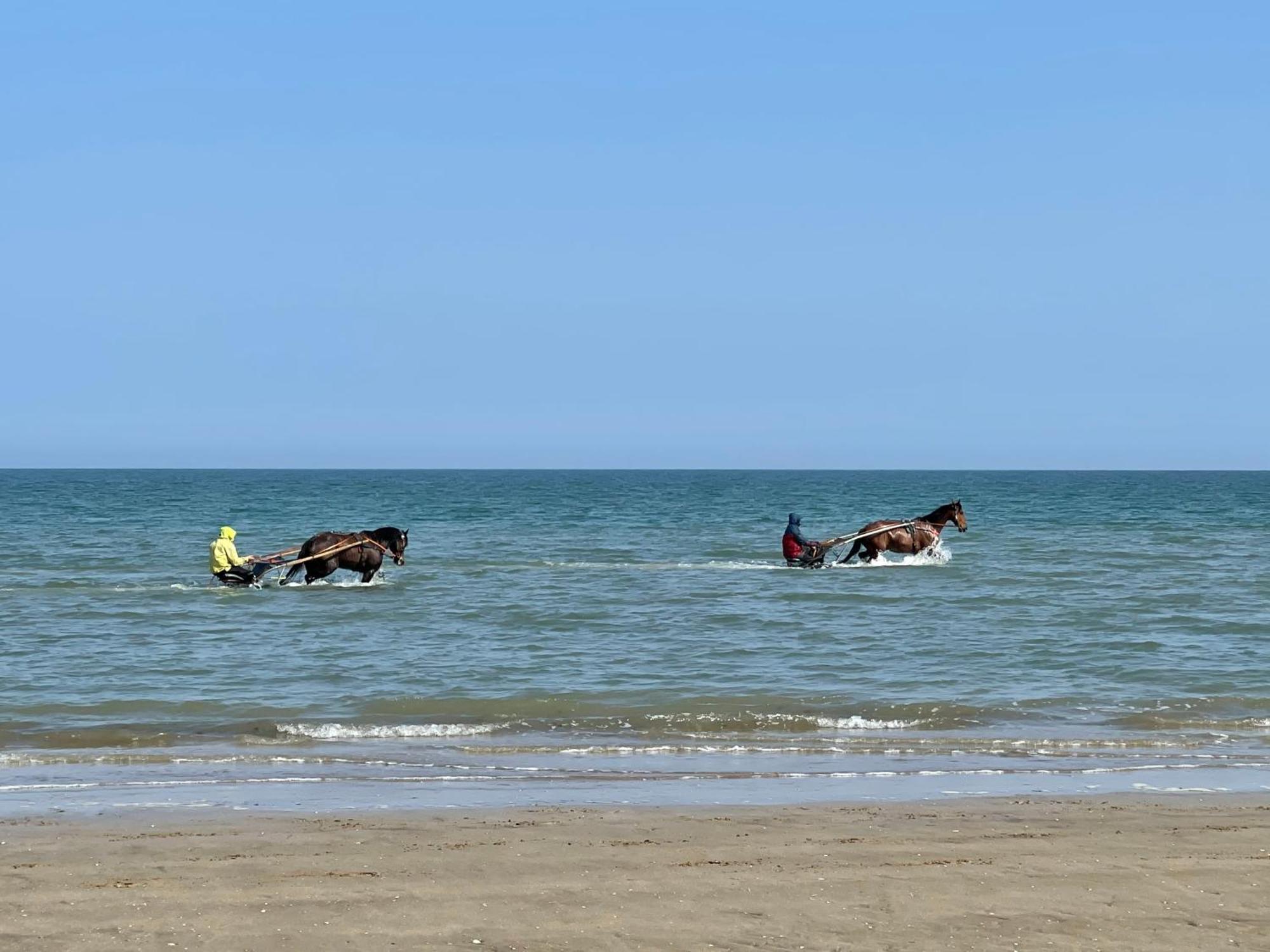 Pressoir De La Mare Superhote 12 Minutes De Cabourg Goustranville Extérieur photo